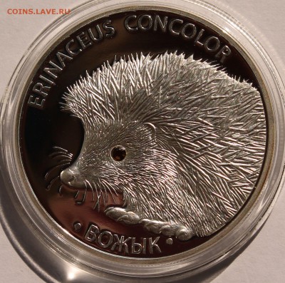 Беларусь 20 рублей  2011. Ёж. Серебро,999, вес - 31,1 гр - 1