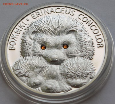 Беларусь 20 рублей  2011. Ежи. Серебро,999, вес - 31,1 гр - 4