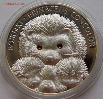 Беларусь 20 рублей  2011. Ежи. Серебро,999, вес - 31,1 гр - 3