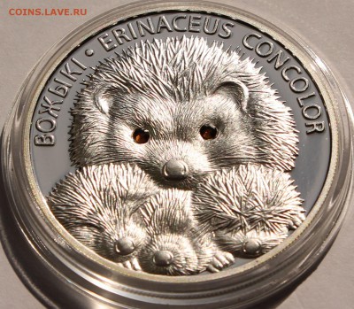 Беларусь 20 рублей  2011. Ежи. Серебро,999, вес - 31,1 гр - 2