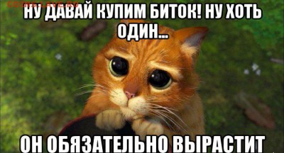 Биткоин. Кто-нибудь уже едет в этом поезде? - 11111111111111111