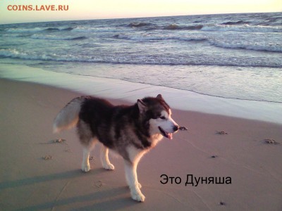 ФОТО - просто фото. Те что получились удачными. - 2018-04-21 88 (3)