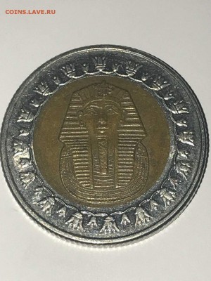 1 фунт Египет. 2004 г. Брак, залипуха над левым глазом. - 6ae2b46c6c70418e5b8217458fee7d39
