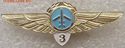 знак классности ГВФ, пилот 3 класса,до 30.04,в 22.00мск - DSCF0527.JPG