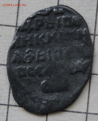 2 чешуйки - DSCN3681.JPG