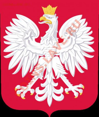 Республика Польша (современный). - рп.JPG
