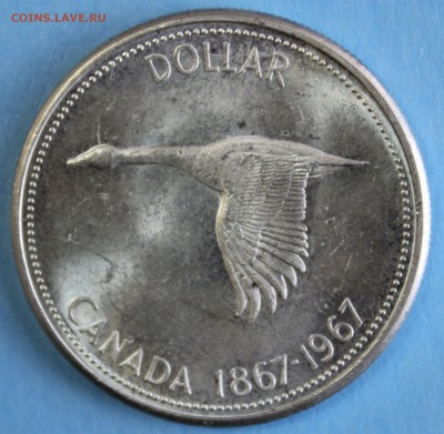 С РУБ.КАНАДА 1 доллар 1967г. ГУСЬ UNC до 5.05 в 22-00 - IMG_2496.JPG