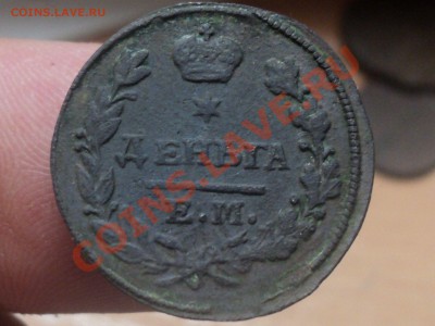 Денга 1827 ЕМ-ИК до 21.04.11 22.00 МСК - DSC04105.JPG