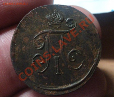 Денга 1797 ем .Красивая. до 21.04.11 22.00 МСК - DSC04123.JPG