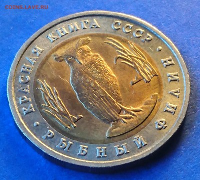5 РУБЛЕЙ 1991 РЫБНЫЙ ФИЛИН до 7.05.18  22:10 МСК - DSC_4683.JPG