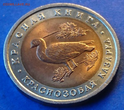 10 РУБЛЕЙ 1992 КРАСНОЗОБАЯ КАЗАРКА до 7.05.18 22:10 МСК - DSC_4685.JPG