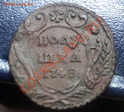 Полушка 1748.Коричневая. до 21.4.11 22.00 МСК - DSC04133.JPG