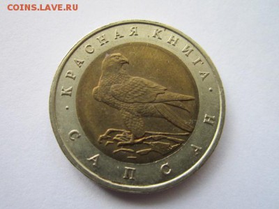 КК САПСАН 50 руб 1994 до 06.05.18 в 22:30 - IMG_0362.JPG