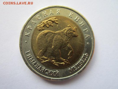 КК МЕДВЕДЬ АЦ 50 руб 1993 до 06.05.18 в 22:30 - IMG_0366.JPG