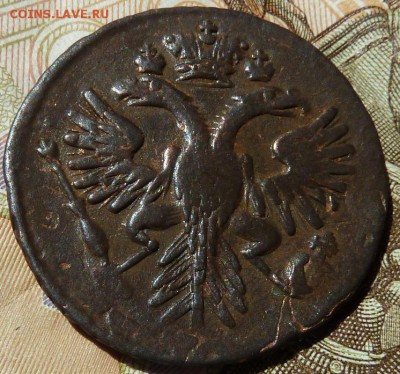 деньга 1730 г с остями в крыльях со след переч 22.00 4 мая - Изображение 12508