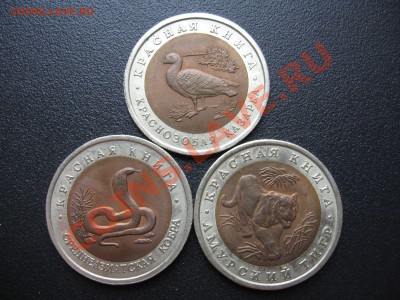 10 рублей, Красная книга, 1992, до 23.04.11 в 22.00 мск - IMG_7628.JPG