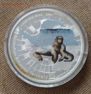Морской леопард, Австралия, 2005, 1 доллар, серебро, пруф - 1