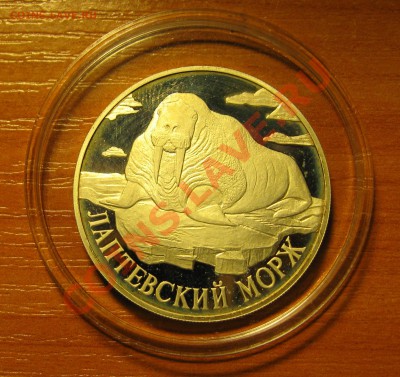 1 рубль Лаптевский морж, 1998г.СЕРЕБРО, с номинала, до 21.04 - лаптевский морж.JPG