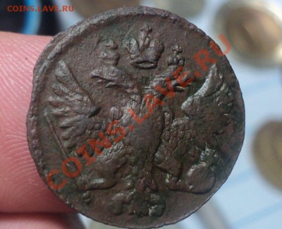 Полушка 1748.Коричневая. до 21.4.11 22.00 МСК - DSC04146.JPG