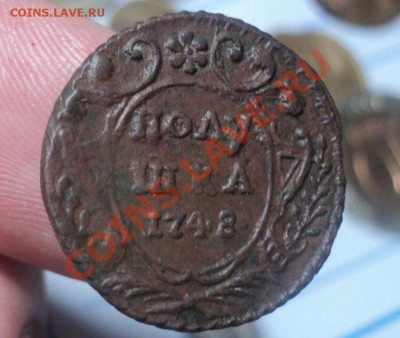 Полушка 1748.Коричневая. до 21.4.11 22.00 МСК - DSC04145.JPG