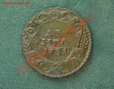 Деньга 1731 г. Оценка состояния. - DSC00530.JPG