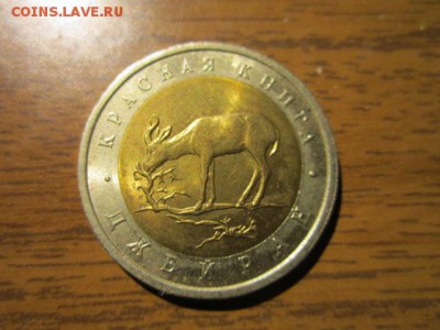 КК ДЖЕЙРАН 50 руб 1994 до 06.05.18 в 22:30 - IMG_0389.JPG