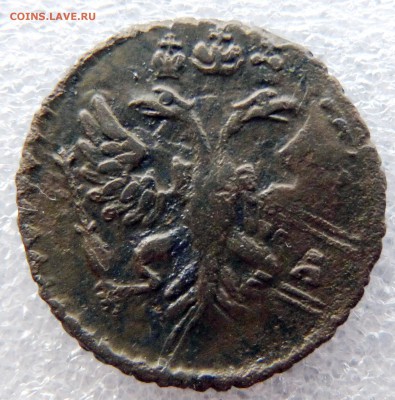 копейка 1728, полушка 1731 перечекан - полушка 1731 аверс.JPG