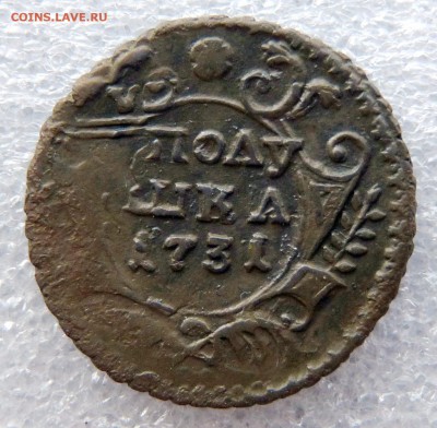 копейка 1728, полушка 1731 перечекан - полушка 1731 реверс.JPG