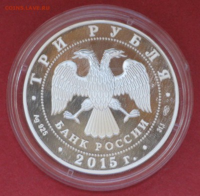 Год лошади 2014 год и 70 лет Победы - IMG_8630.JPG