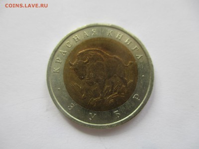 красная книга 1994, зубр - IMG_3813.JPG