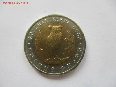 красная книга 1991, филин - IMG_3817.JPG