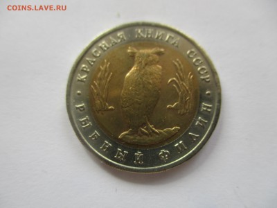 красная книга 1991, филин - IMG_3818.JPG