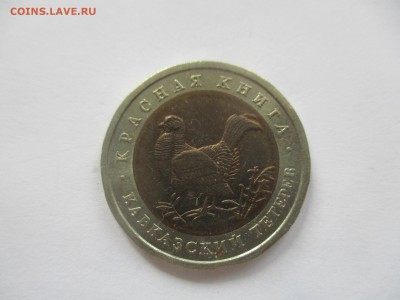 красная книга 1993, кавказский тетерев - IMG_3815.JPG