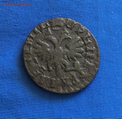 Медная Деньга Петр I - FCA24738-7625-4CE0-BBD7-ABF60D0A8BBD