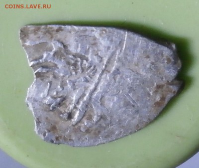Фальшивая чешуя? - P5060005.JPG