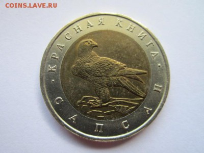 КК САПСАН 50 руб 1994 до 13.05.18 в 22:30 - IMG_0395.JPG