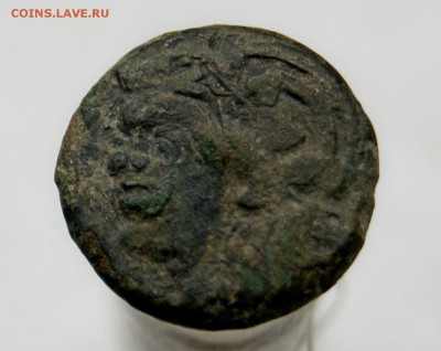 Пантикапей. 294 — 284 год до н.э. Медь Тетрахалк, вес 6.4 г, - DSC05404.JPG
