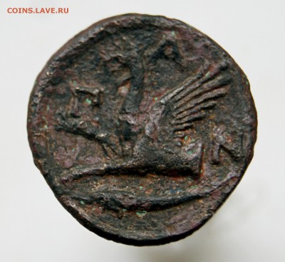 Пантикапей.345-310 год до н.э.Медь Тетрахалк, вес 6,6 г,d22м - DSC05389.JPG