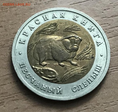 Песчаный слыпыш 1994 Красная Книга #2 до 10.05 - 2F191AAE-3835-4209-B931-F11DD35BB794