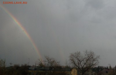 ФОТО - просто фото. Те что получились удачными. - IMG_20180426_185027_cr