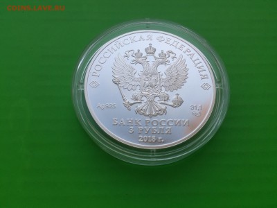 3Р. Санкт-Петербург  . Чемпионат мира по футболу. - 112D94F6-952E-4D5D-A9F5-20E97A96CBAB