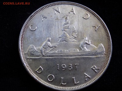Канада 1 доллар 1937 г. ГеоргVI до 13.05 - 1937 реверс.JPG