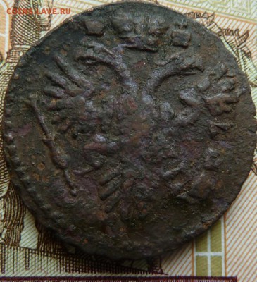 деньга 1731 г из коп Петра 1 до 22.00 16 мая - Изображение 12649