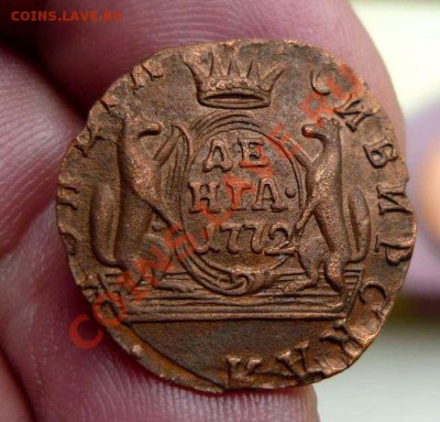 Сибирь деньга 1772 км (красивая) до 25 .04.11.21-00 - P1090856_thumb