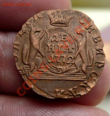 Сибирь деньга 1772 км (красивая) до 25 .04.11.21-00 - P1090865_thumb