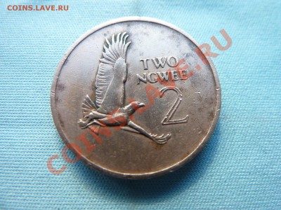 С РУБЛЯ ЗАМБИЯ 2 нгвее до 27.04.11 в 22-00 - MEMO0015.JPG