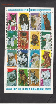 Гвинея экв собаки лист - 49
