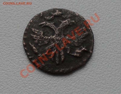 полушка 1720 - SDC12559.JPG