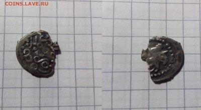 Крупная чешуйка на определение - 5Mtre_croper_ru
