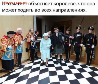 веселые картинки - 11503899